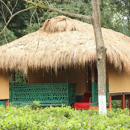 Nature Hunt Eco Camp Kaziranga Bagian luar foto