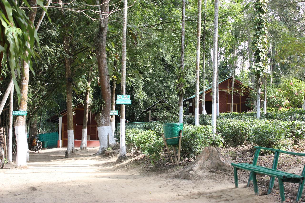 Nature Hunt Eco Camp Kaziranga Bagian luar foto