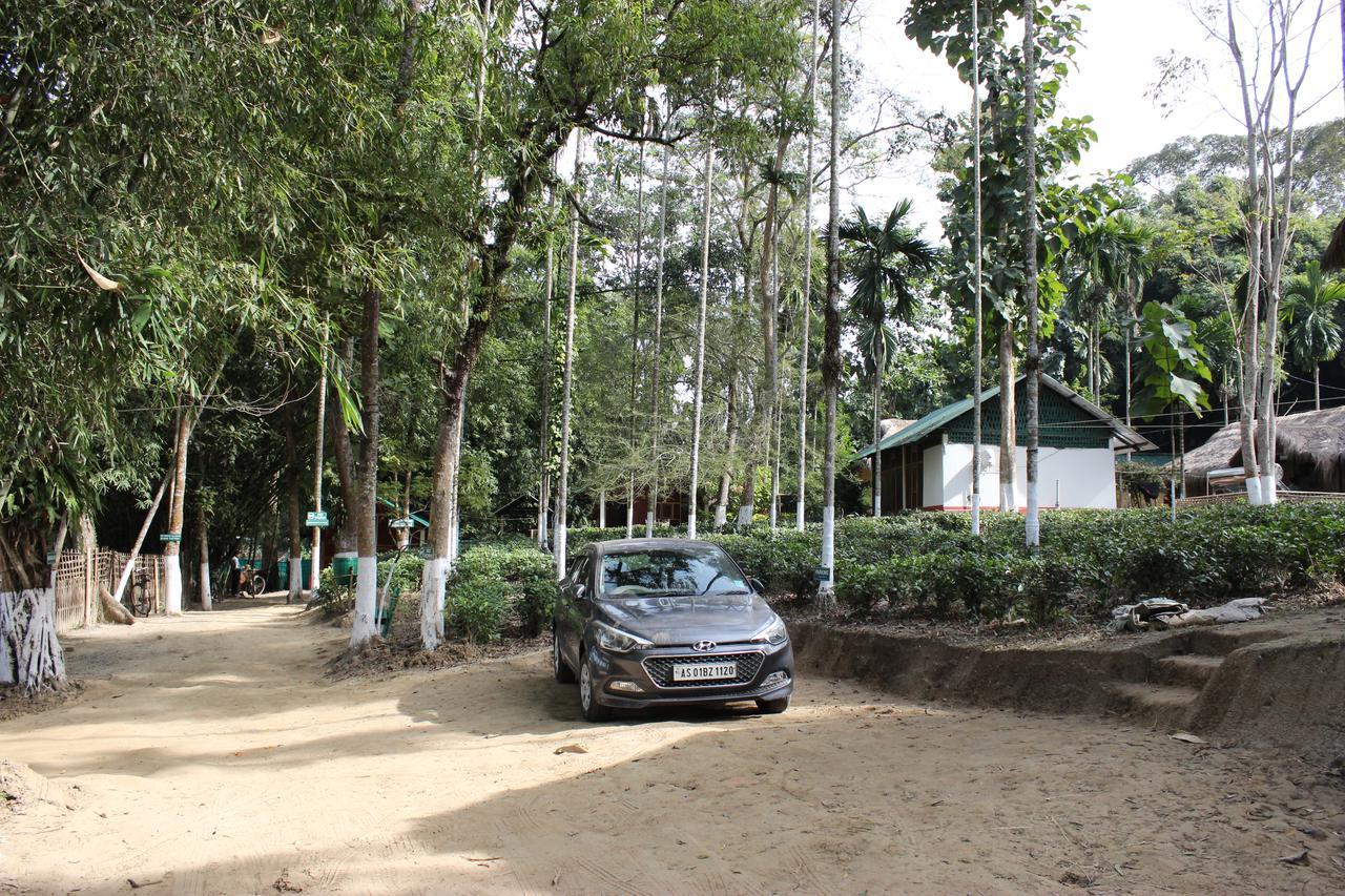 Nature Hunt Eco Camp Kaziranga Bagian luar foto