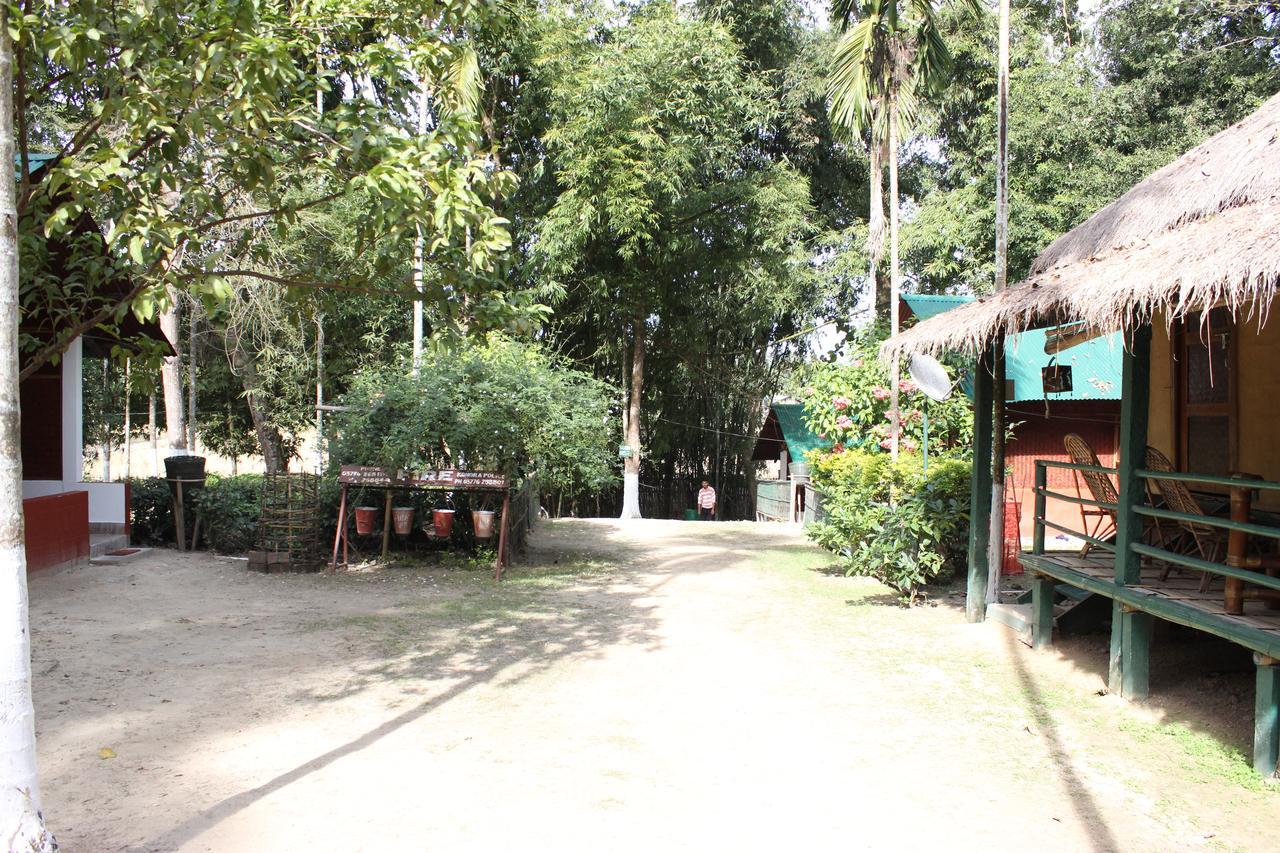 Nature Hunt Eco Camp Kaziranga Bagian luar foto