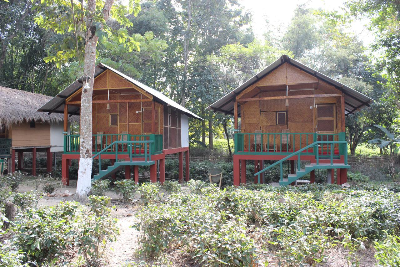 Nature Hunt Eco Camp Kaziranga Bagian luar foto