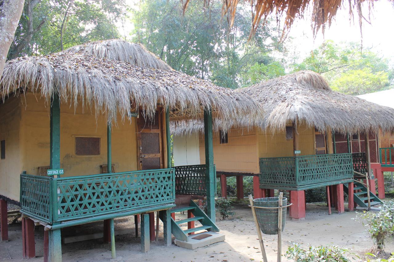 Nature Hunt Eco Camp Kaziranga Bagian luar foto