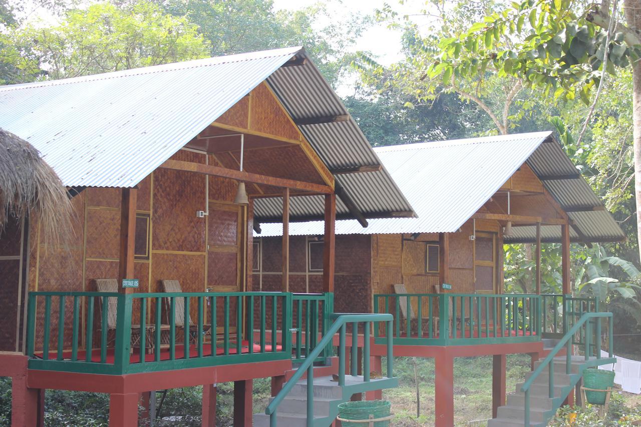 Nature Hunt Eco Camp Kaziranga Bagian luar foto