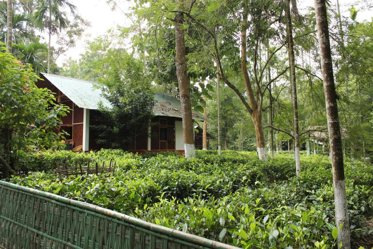 Nature Hunt Eco Camp Kaziranga Bagian luar foto