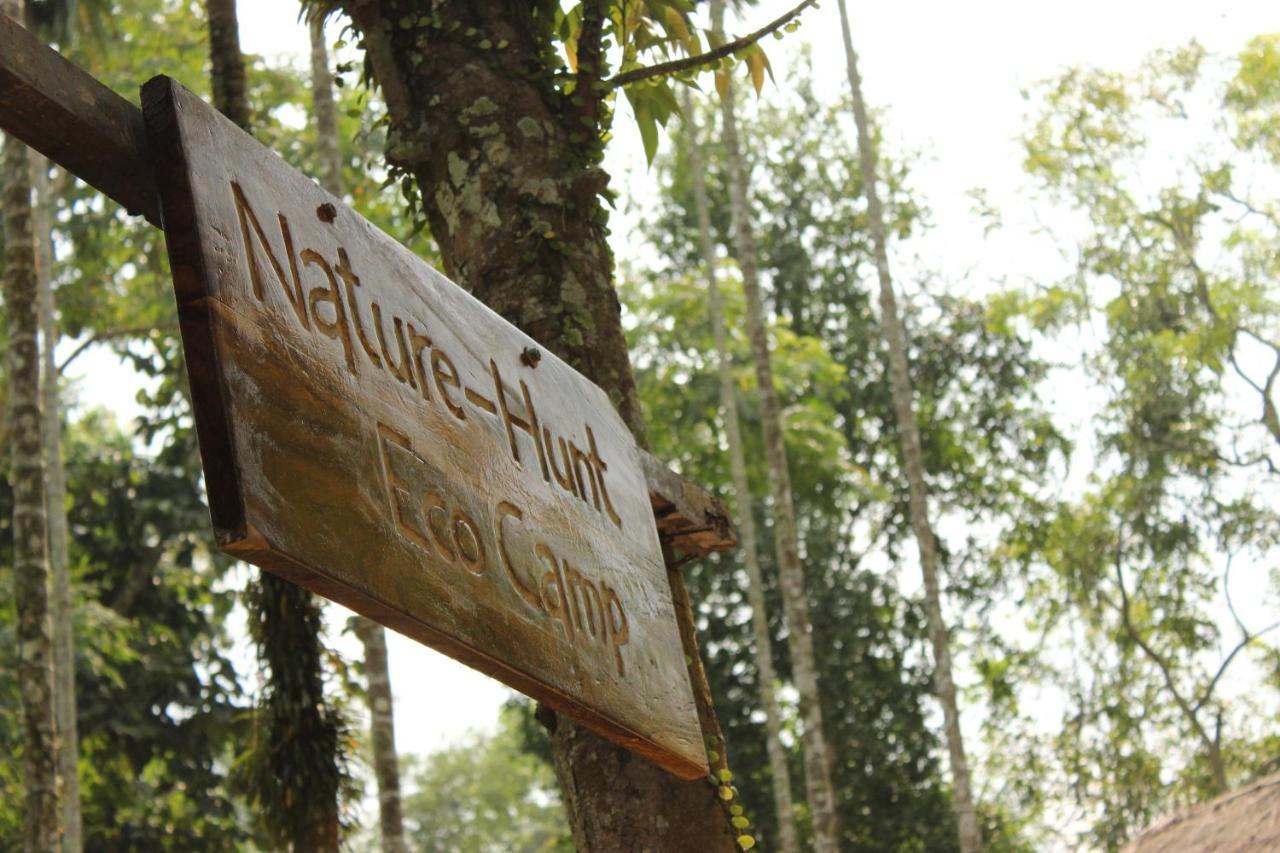 Nature Hunt Eco Camp Kaziranga Bagian luar foto