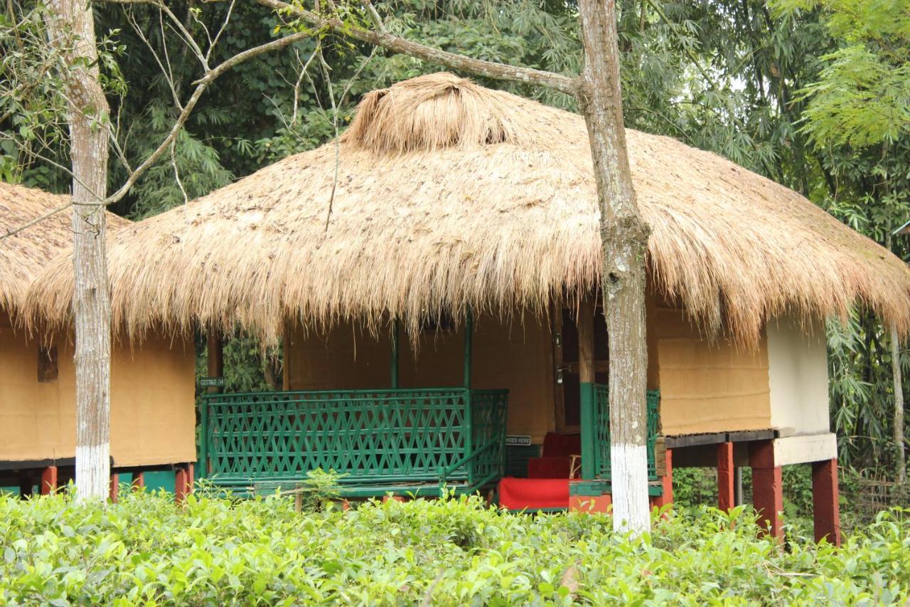 Nature Hunt Eco Camp Kaziranga Bagian luar foto