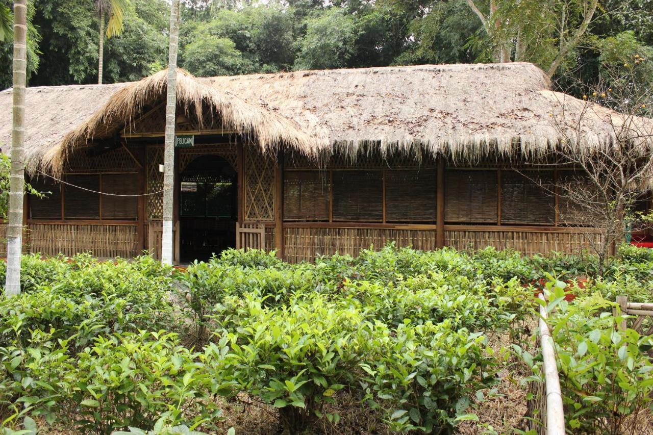 Nature Hunt Eco Camp Kaziranga Bagian luar foto