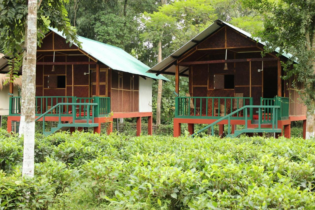 Nature Hunt Eco Camp Kaziranga Bagian luar foto
